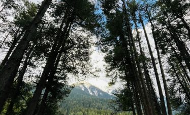 pahalgam