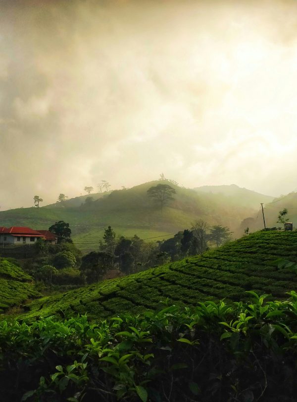 Kerala Tour Package