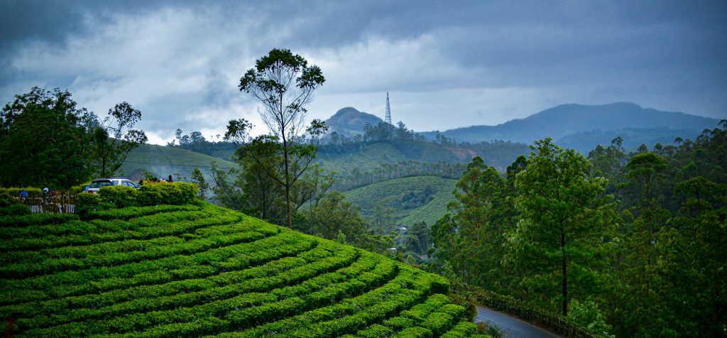 Kerala Tour Package Kerala Tour Package - Munnar 1
