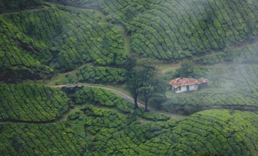 Kerala Tour Package - Munnar