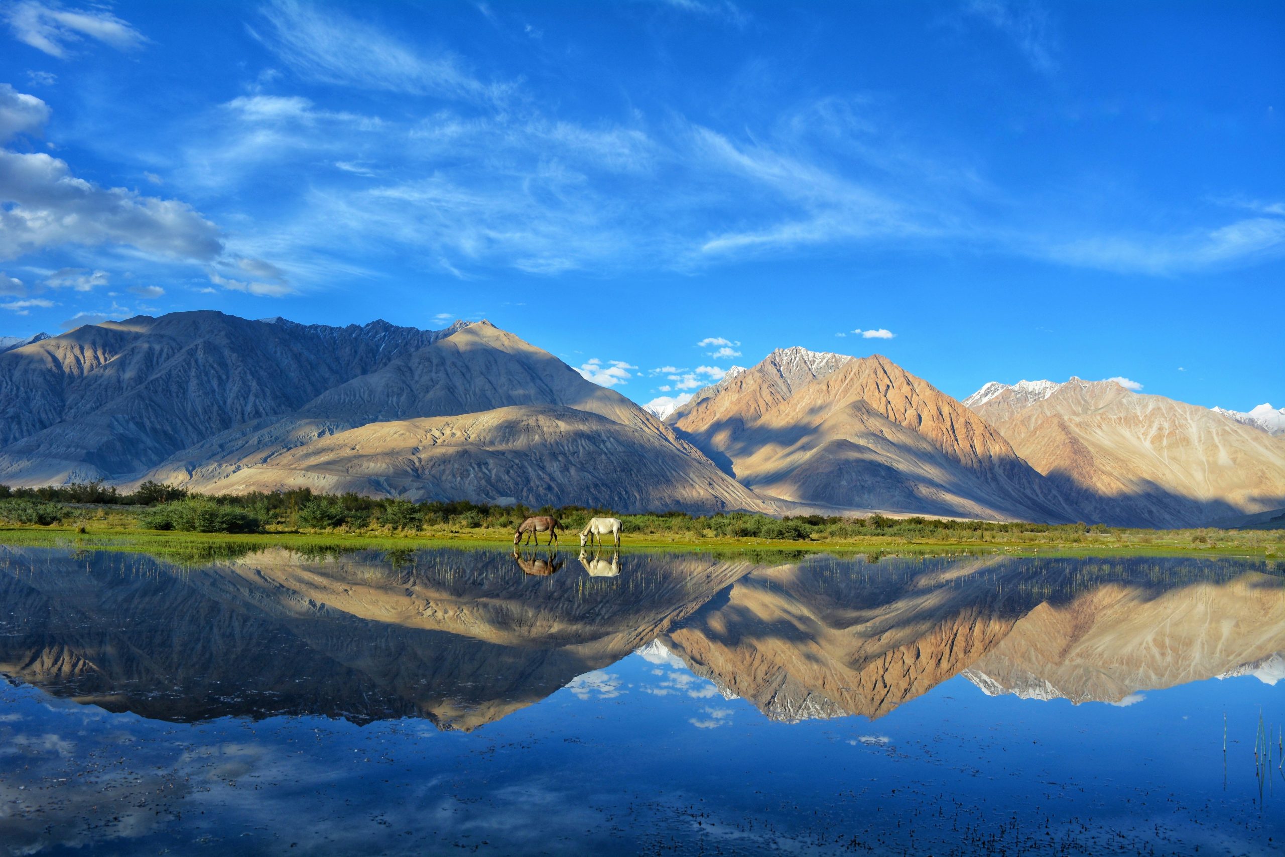 Leh-Ladakh - A Dream Destination for Road Trip Lovers